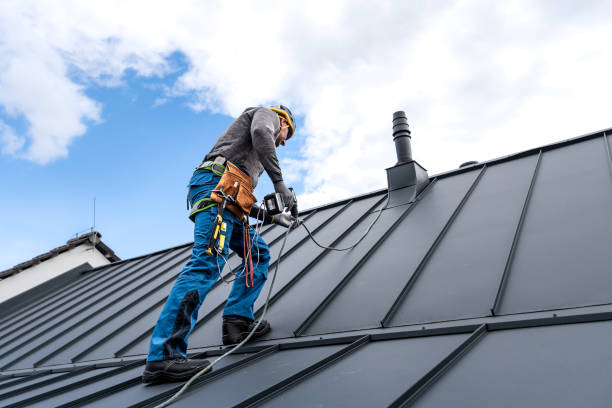 Best Sheet Metal Roofing  in Richmond, CA
