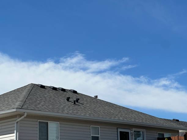 Best Roof Coating and Sealing  in Richmond, CA